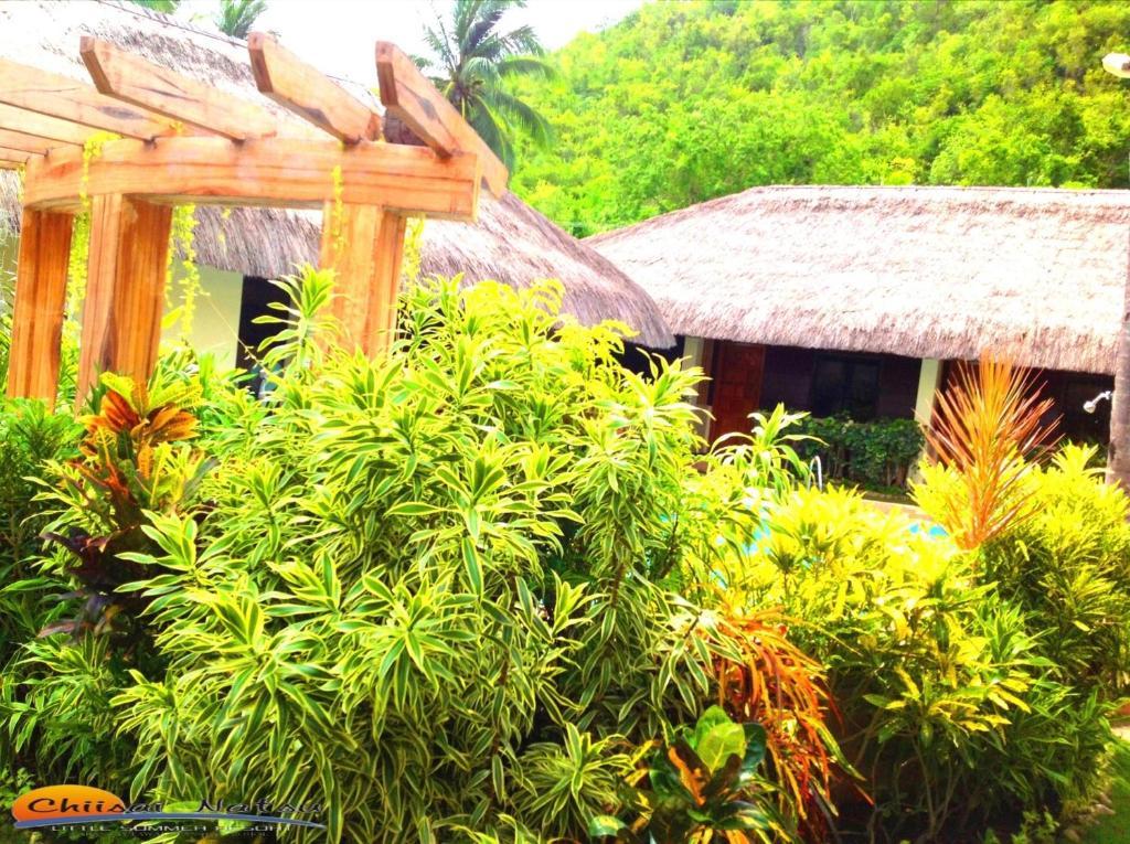 Chiisai Natsu Resort Bohol Exterior photo