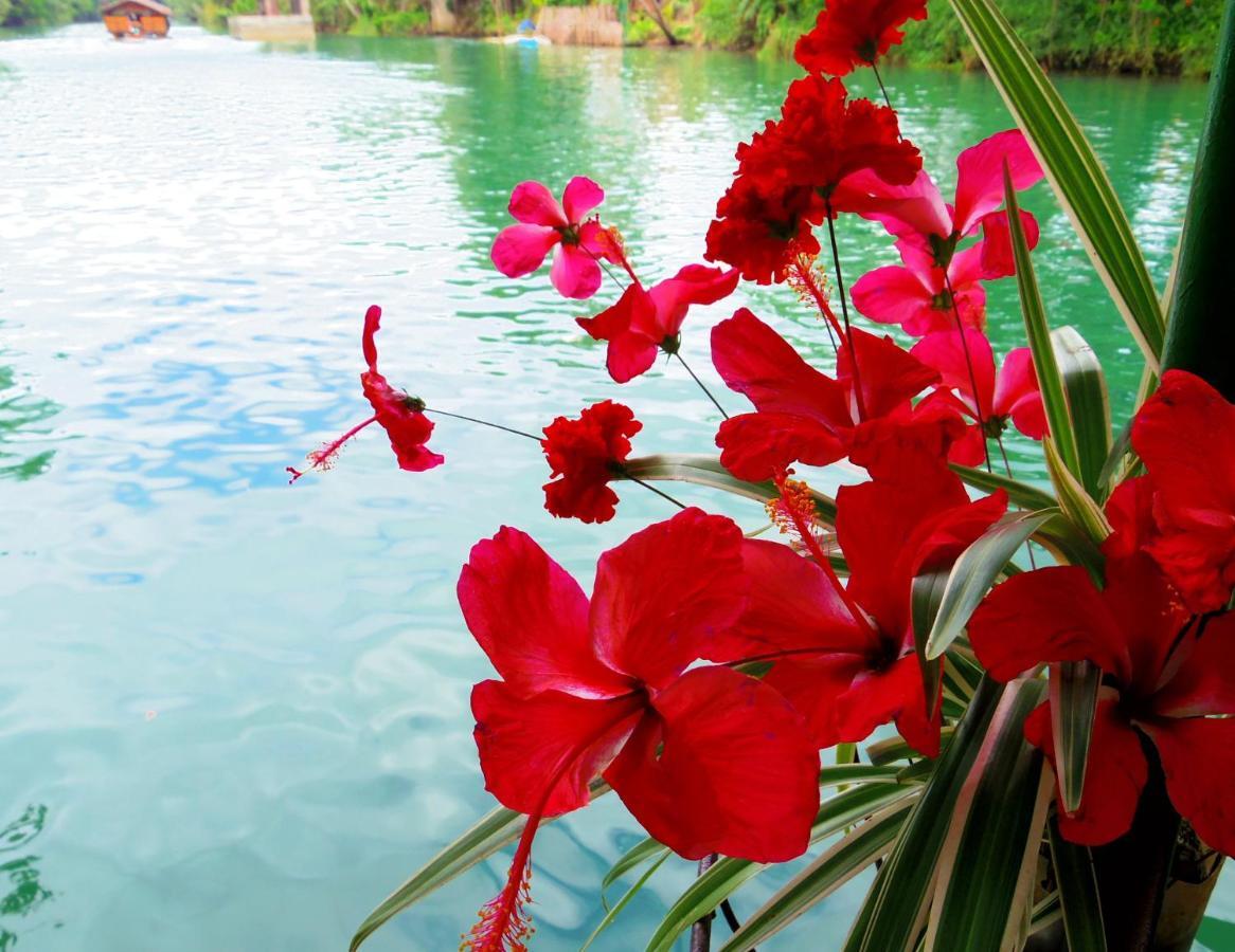 Chiisai Natsu Resort Bohol Exterior photo